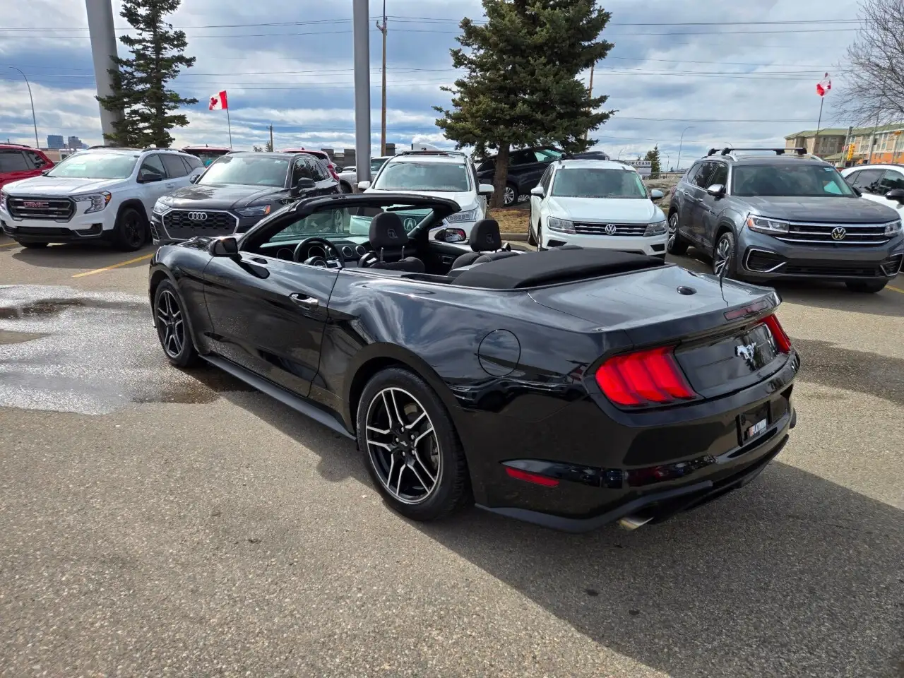 Ford Mustang photo Ford Mustang
