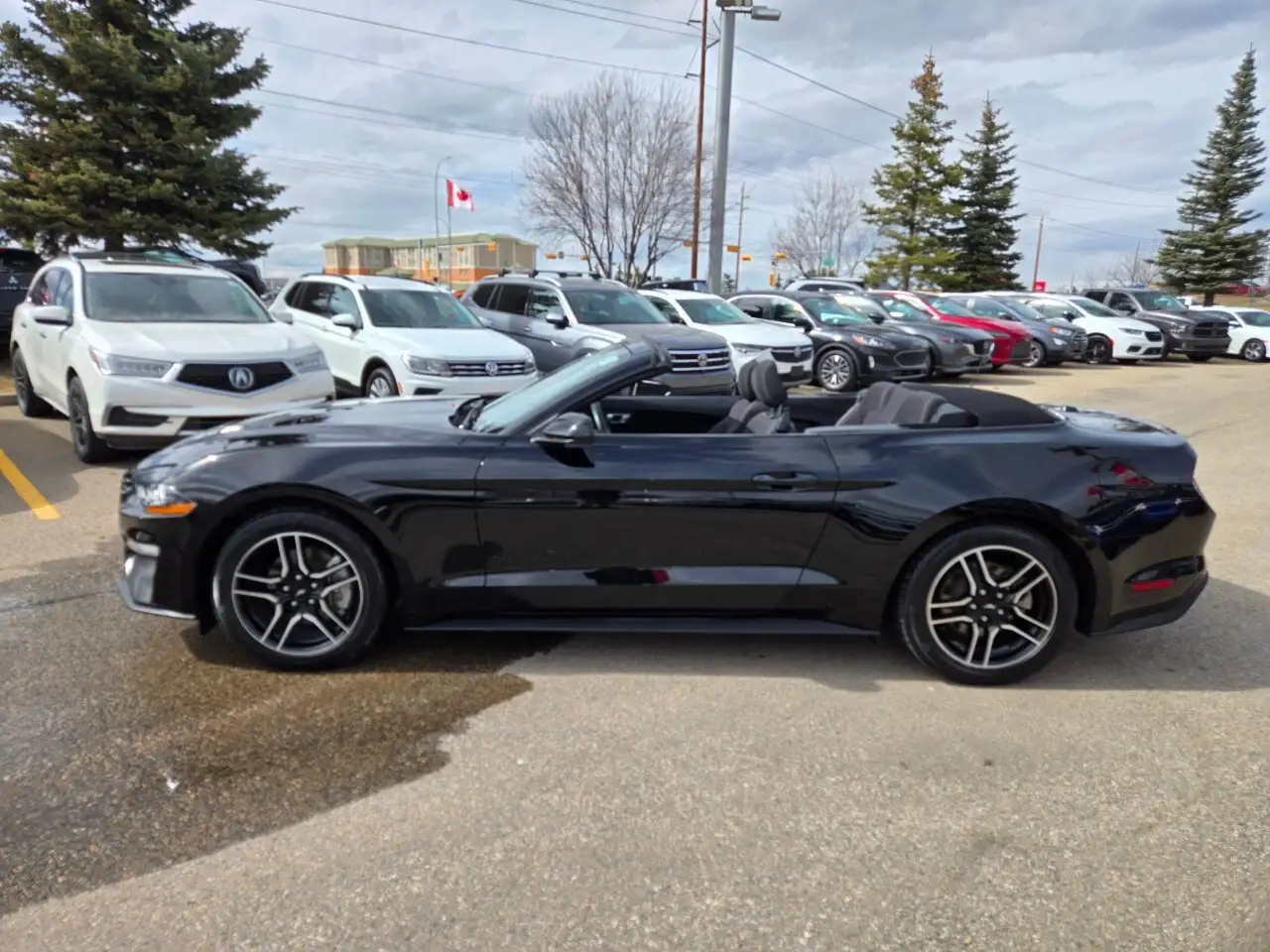 Ford Mustang photo Ford Mustang