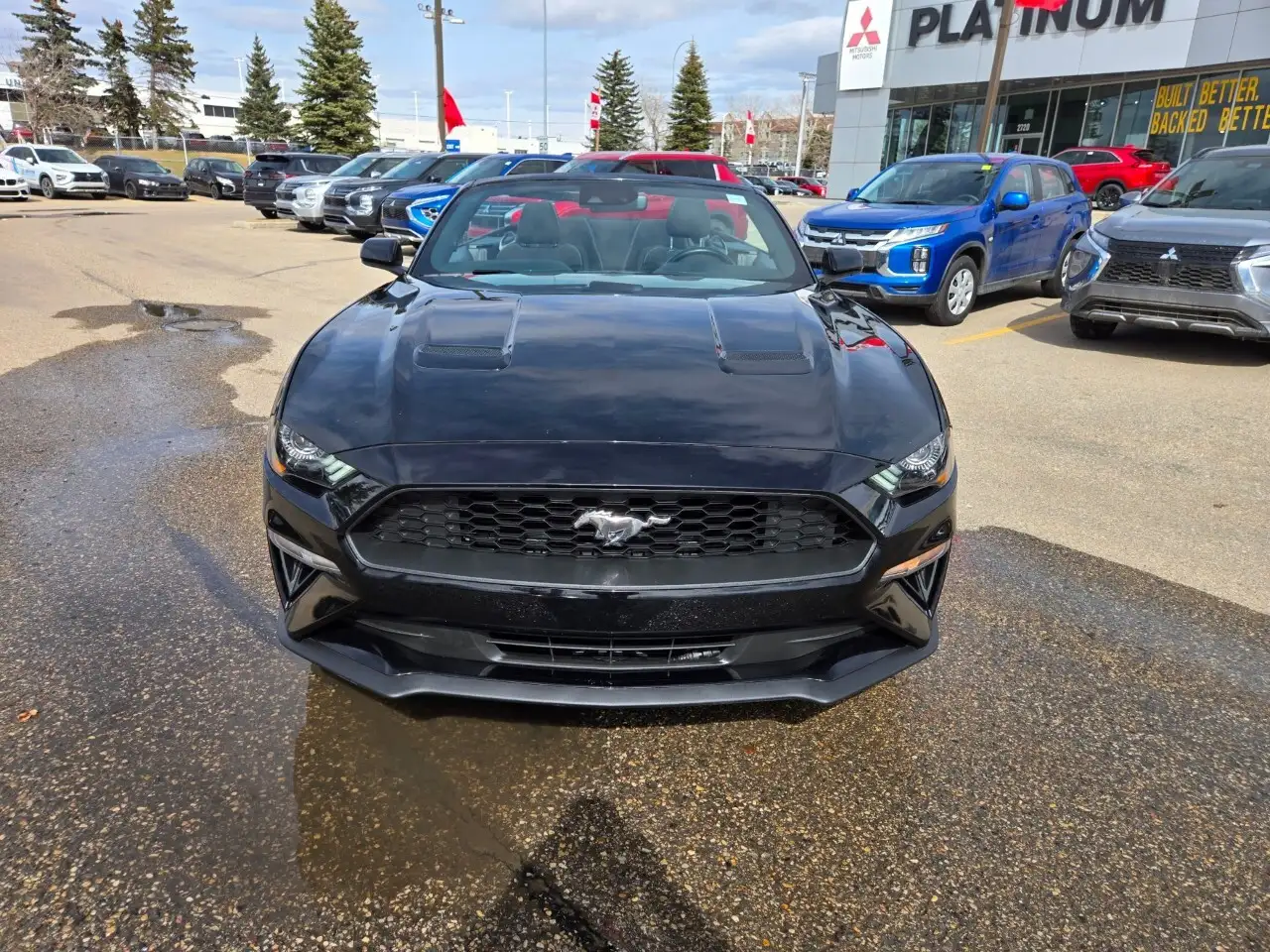 Ford Mustang photo Ford Mustang