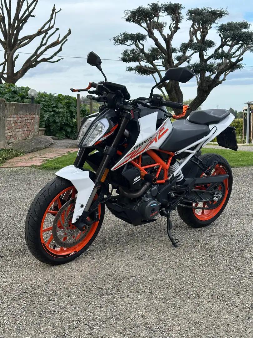 KTM 390 Duke Bianco - 1