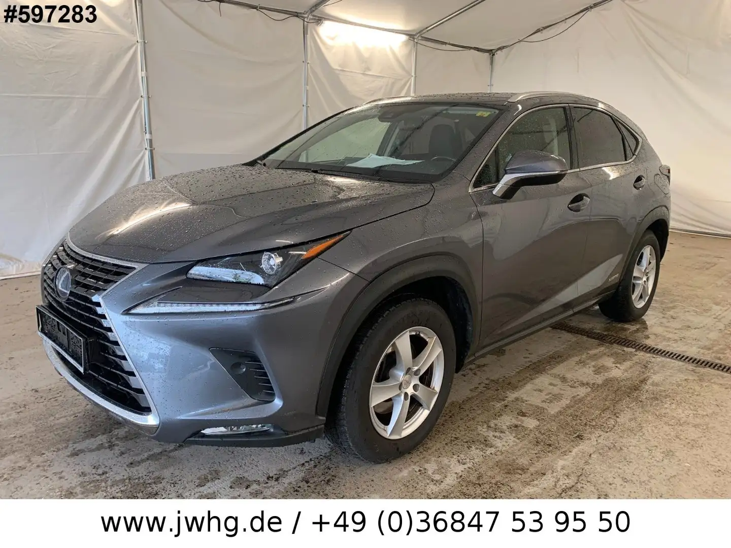 Lexus NX 300 LED Navi Vollleder 17" Kamera Klimaaut Grau - 1