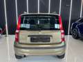 Fiat Panda 1.2 Dinamic OK NEOPATENTATI 15.000Km Beige - thumbnail 5