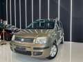 Fiat Panda 1.2 Dinamic OK NEOPATENTATI 15.000Km Beige - thumbnail 3