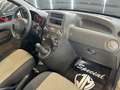 Fiat Panda 1.2 Dinamic OK NEOPATENTATI 15.000Km Beige - thumbnail 10
