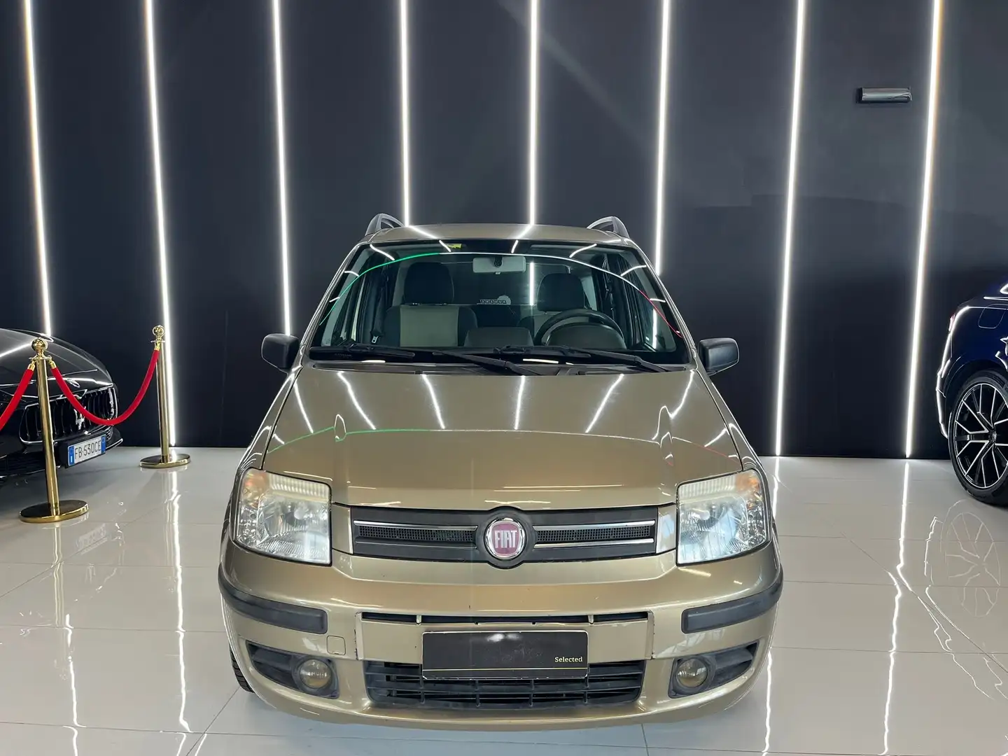 Fiat Panda 1.2 Dinamic OK NEOPATENTATI 15.000Km Beige - 2
