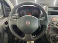 Fiat Panda 1.2 Dinamic OK NEOPATENTATI 15.000Km Beige - thumbnail 12