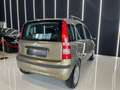 Fiat Panda 1.2 Dinamic OK NEOPATENTATI 15.000Km Beige - thumbnail 4