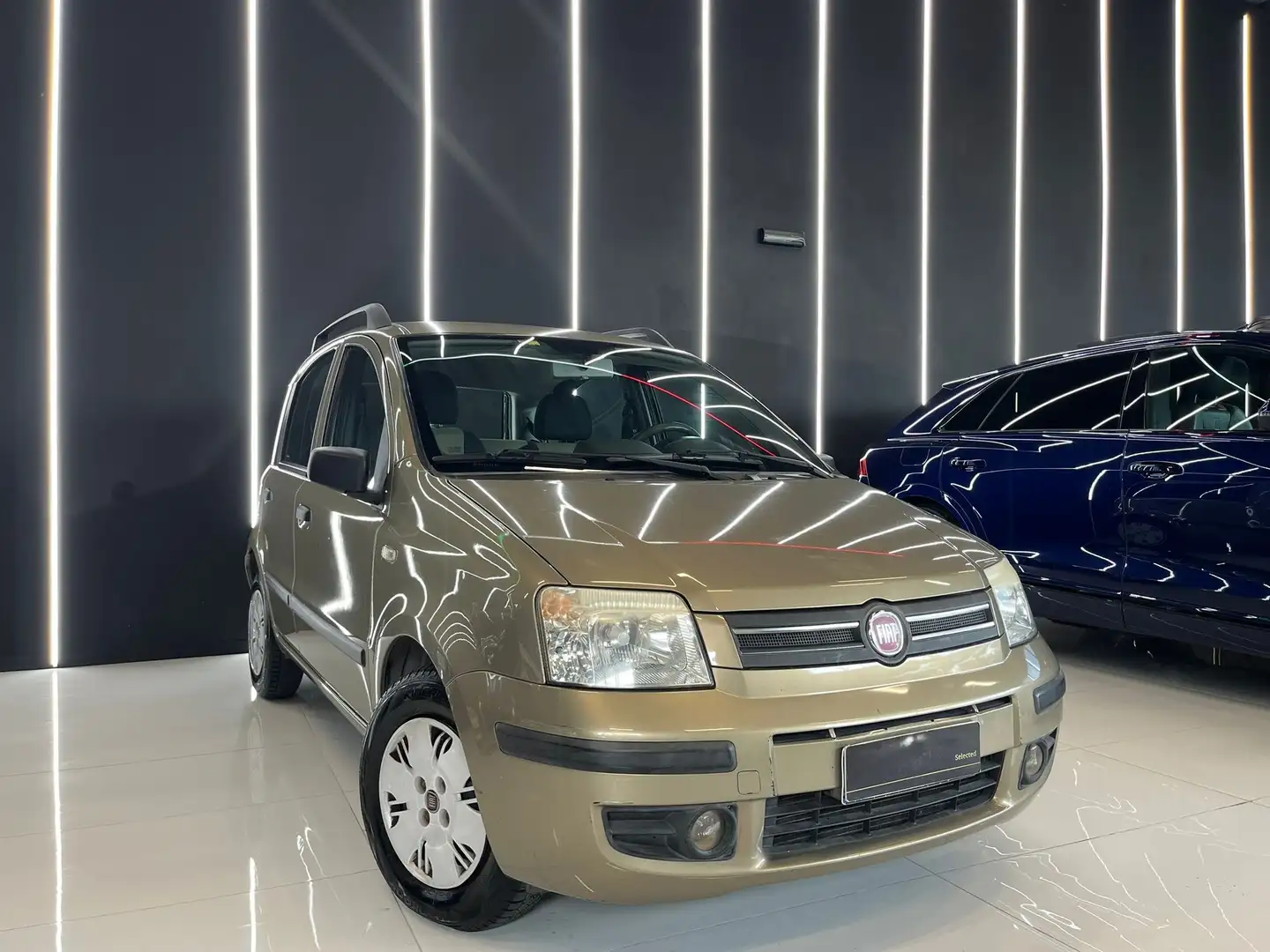 Fiat Panda 1.2 Dinamic OK NEOPATENTATI 15.000Km Beige - 1