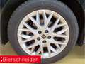 SEAT Ibiza 1.0 TSI DSG FR AB 199EUR NAVI REAR VIEW SHZ Schwarz - thumbnail 11