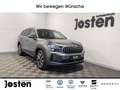 Skoda Kodiaq Selection 2.0TDI 4x4 Pano Canton AHK Akustikglas Grau - thumbnail 1