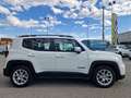 Jeep Renegade 1.0 t3 Limited 2wd Weiß - thumbnail 3