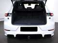 Porsche Cayenne S E-Hybrid*Sp.Design*Sp.Abgas*ACC*Memory Weiß - thumbnail 14