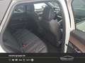 Peugeot 3008 GT Pack Weiß - thumbnail 9