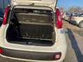 Fiat Panda 1.2 Lounge Bianco - thumbnail 10