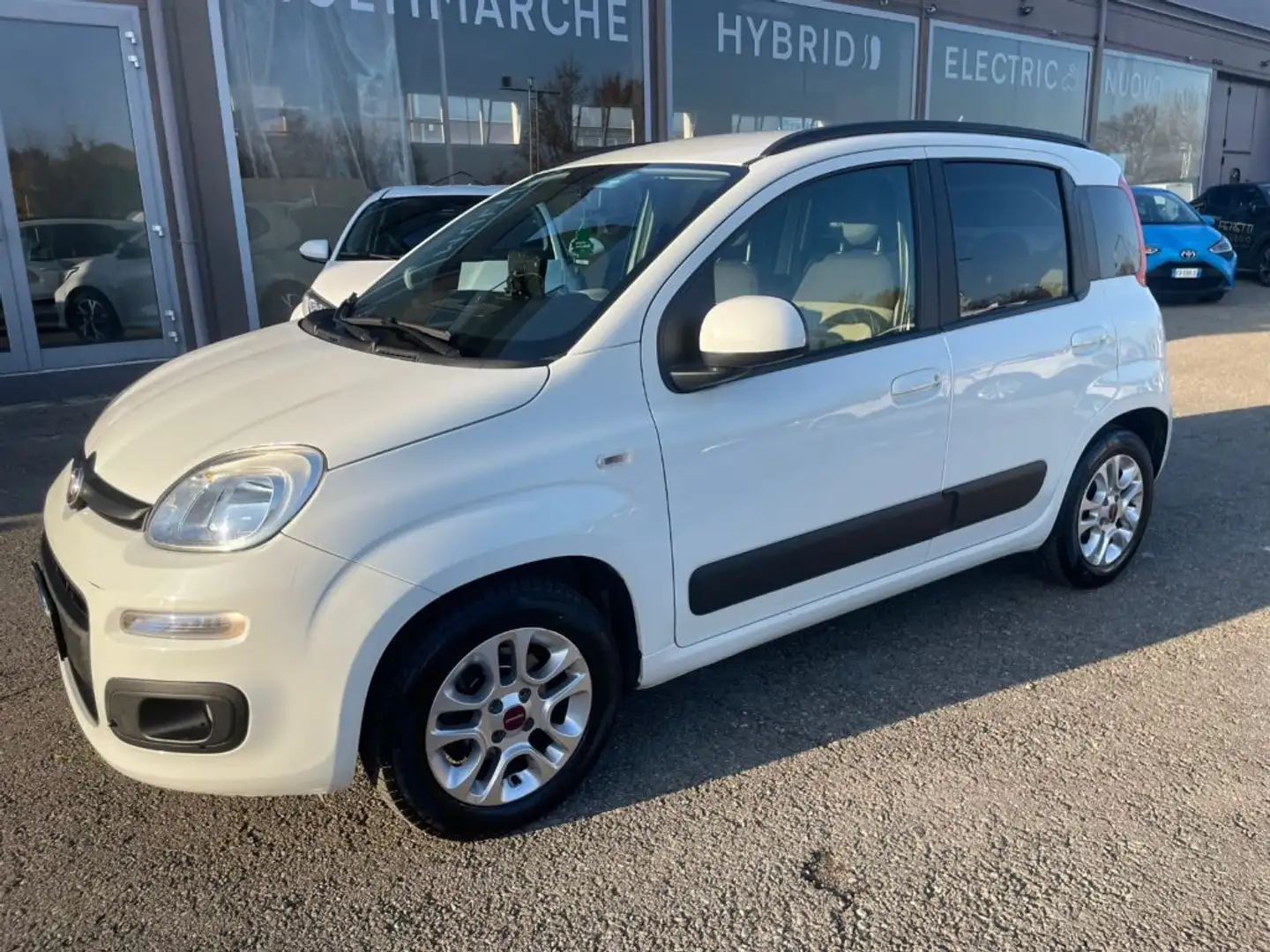 Fiat Panda 1.2 Lounge Bianco - 2
