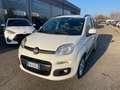 Fiat Panda 1.2 Lounge Bianco - thumbnail 4