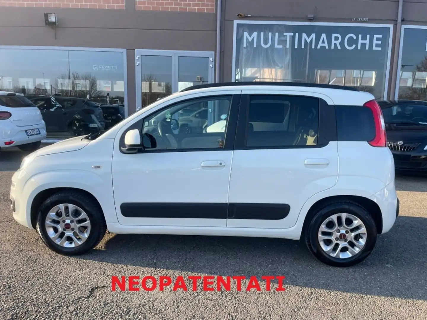 Fiat Panda 1.2 Lounge Bianco - 1