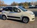 Fiat Panda 1.2 Lounge Bianco - thumbnail 6