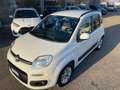 Fiat Panda 1.2 Lounge Bianco - thumbnail 3