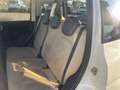 Fiat Panda 1.2 Lounge Bianco - thumbnail 11