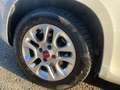Fiat Panda 1.2 Lounge Bianco - thumbnail 9