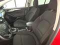 Ford Focus 1.0 Ecoboost MHEV Active 125 Aut. - thumbnail 5