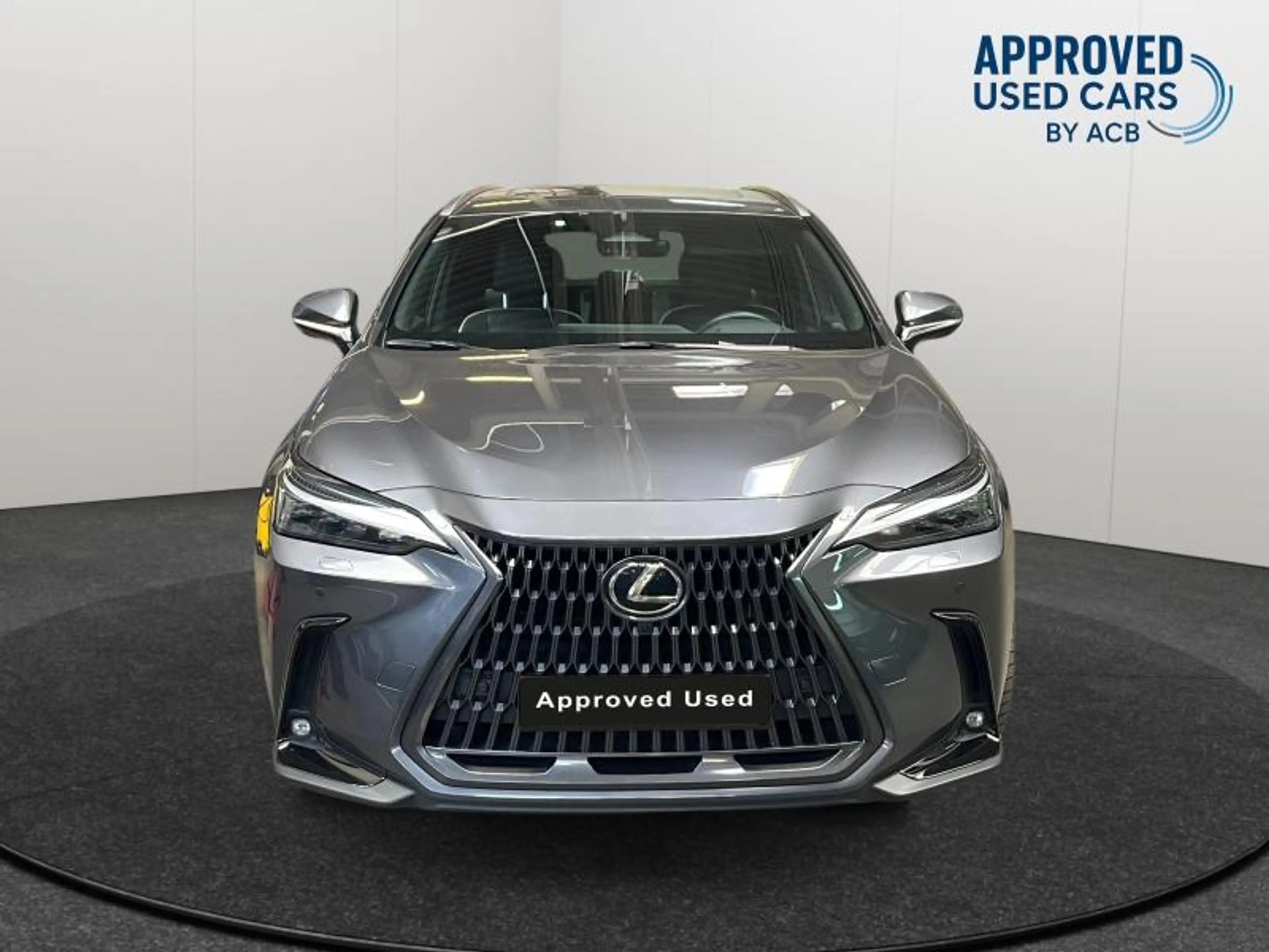 Lexus NX 450h+ PHEV PRIVILEGE LINE — photo 8