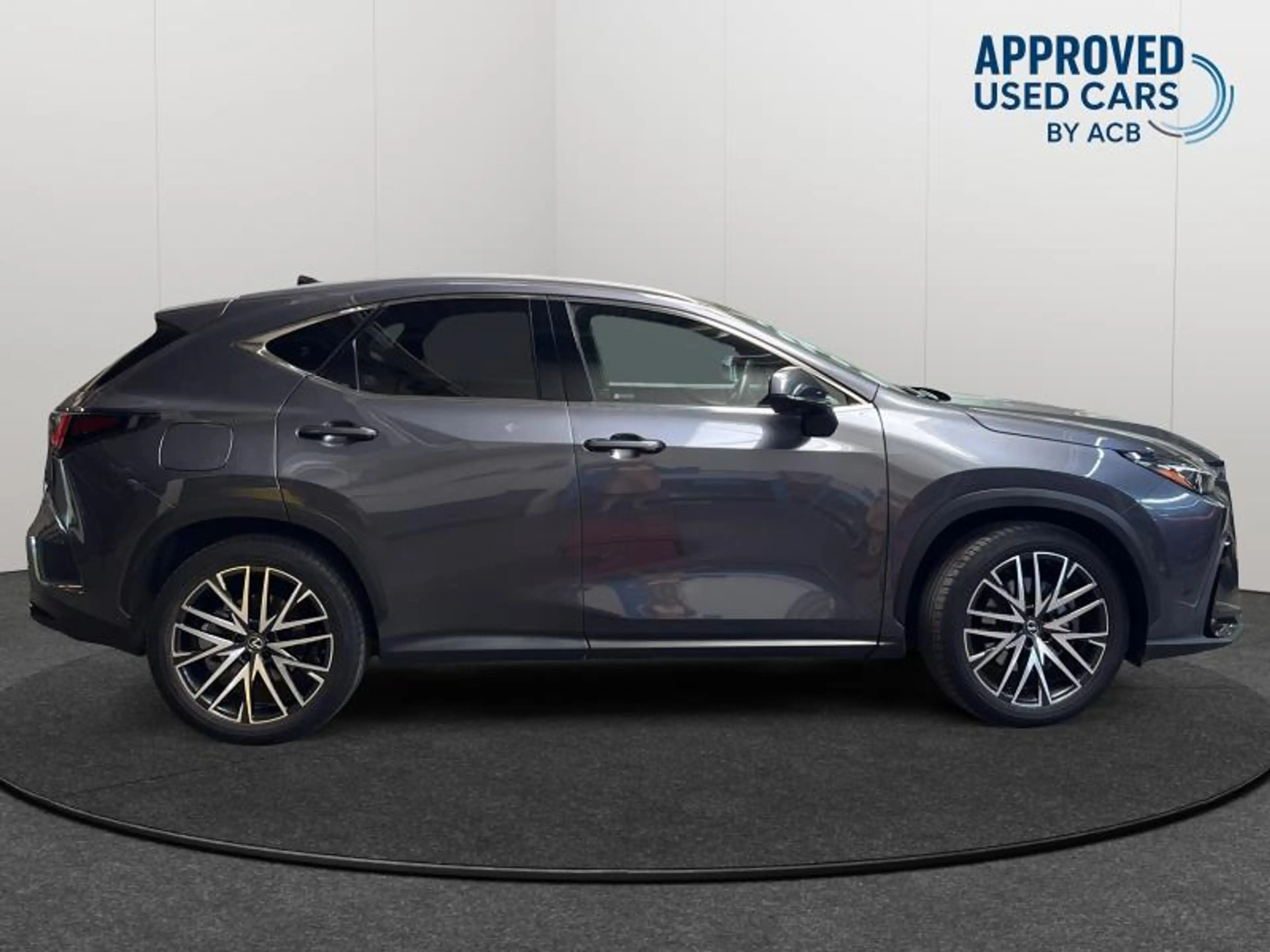 Lexus NX 450h+ PHEV PRIVILEGE LINE — photo 6