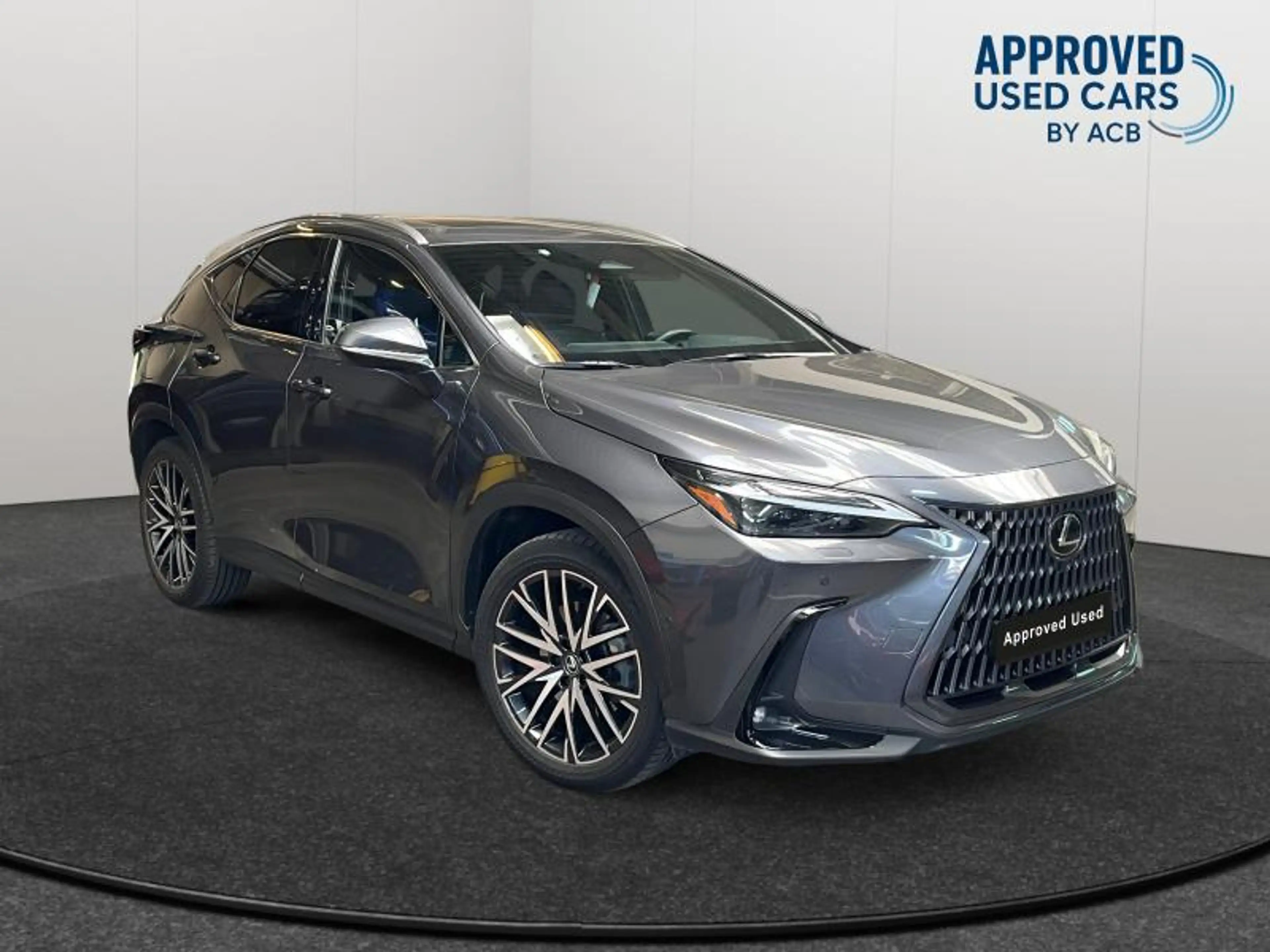 Lexus NX 450h+ PHEV PRIVILEGE LINE — photo 7