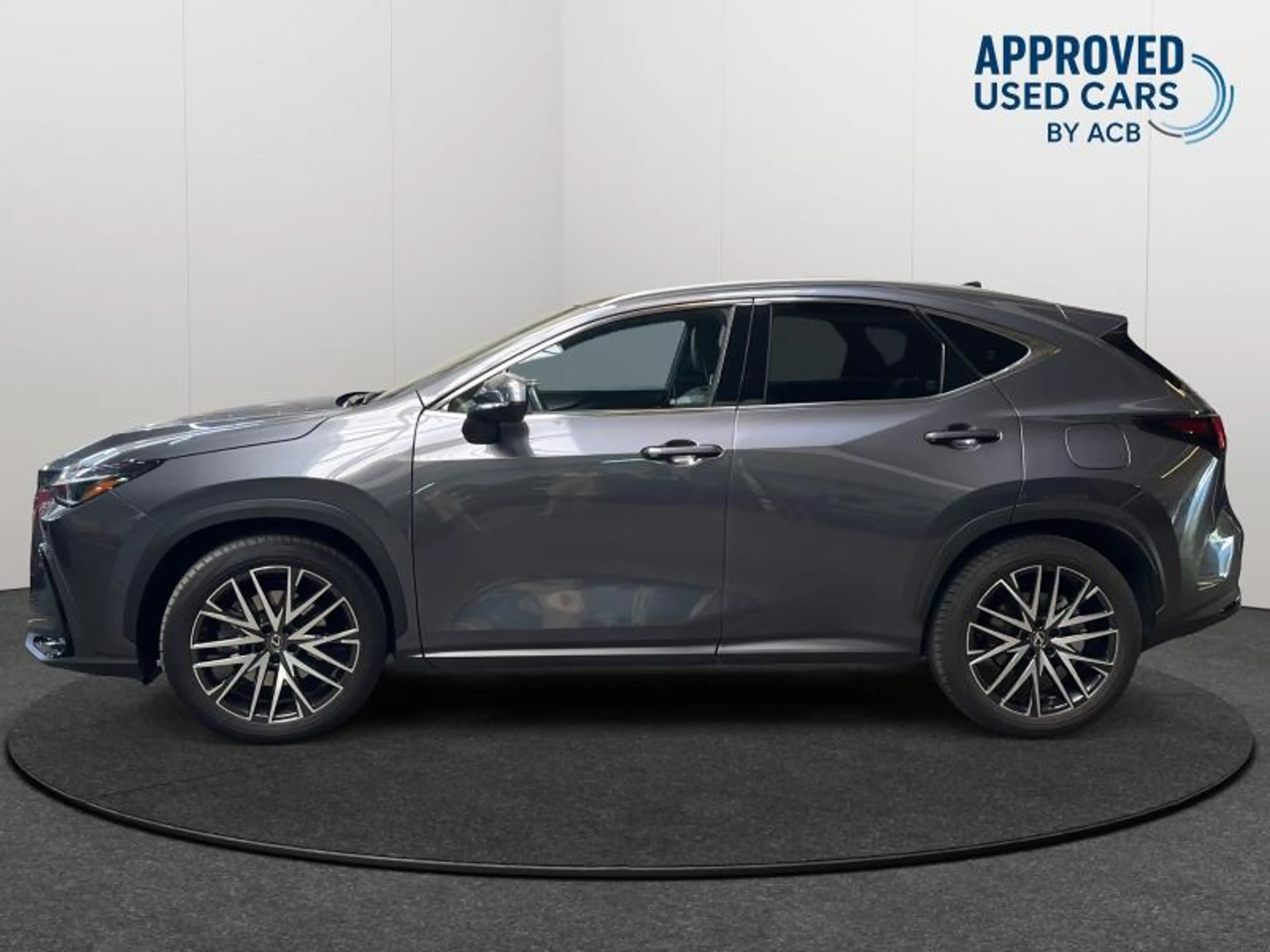 Lexus NX 450h+ PHEV PRIVILEGE LINE — photo 2