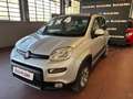 Fiat Panda 1.3 MJT 16v 4x4 75cv - TAGLIANDATA! Argent - thumbnail 1