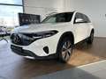 Mercedes-Benz EQB 250 EQB 250+ Progressive KAMERA+TOTWINKEL+SPURHALTE Blanc - thumbnail 2