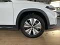 Mercedes-Benz EQB 250 EQB 250+ Progressive KAMERA+TOTWINKEL+SPURHALTE Blanc - thumbnail 5
