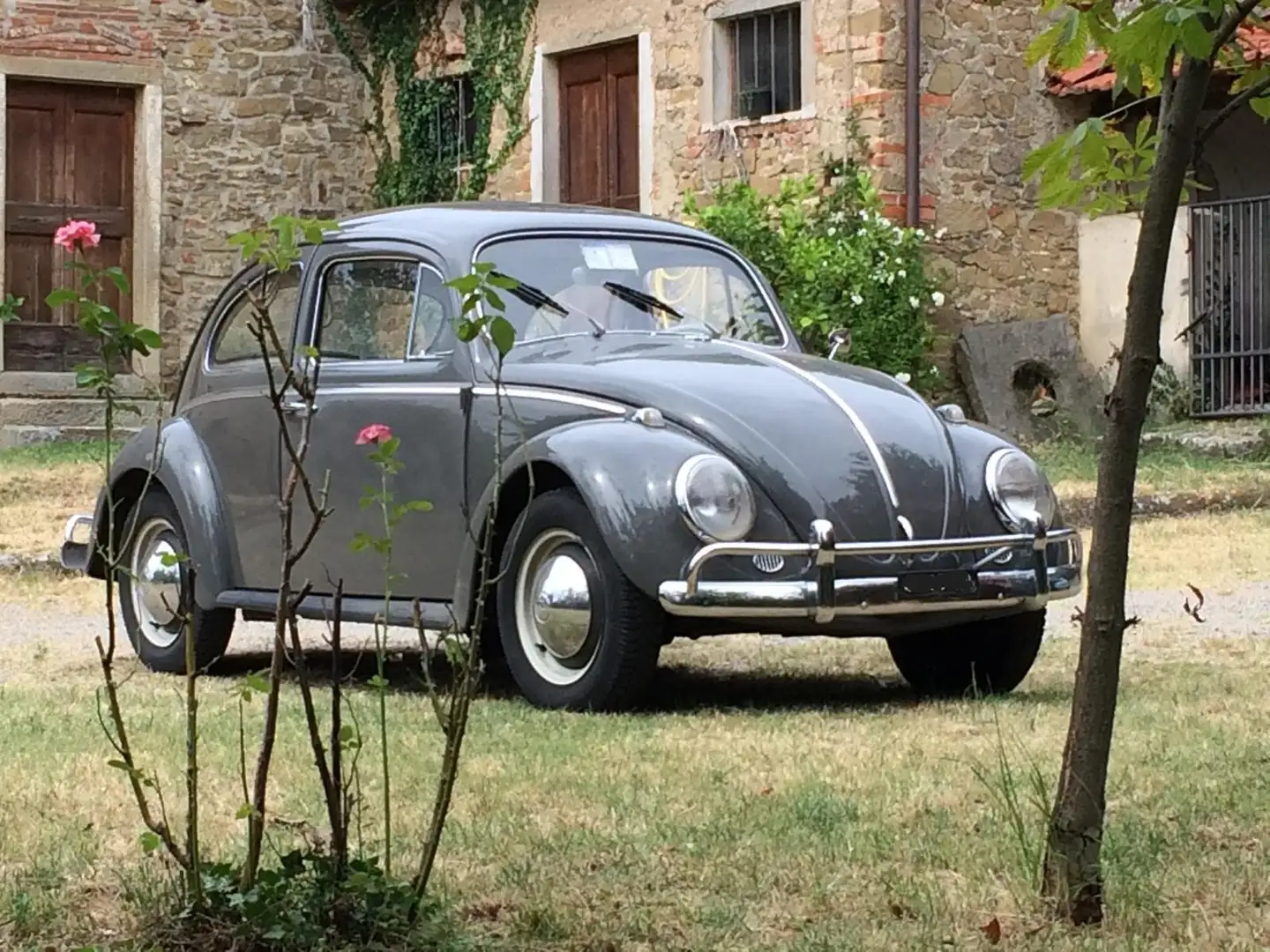 Volkswagen Maggiolino tipo 11 Grau - 1