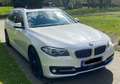 BMW 530 530d Touring Aut. Modern Line Weiß - thumbnail 3