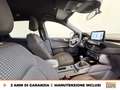 Ford Kuga 1.5 ecoblue st-line 2wd 120cv Grigio - thumbnail 7
