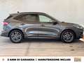 Ford Kuga 1.5 ecoblue st-line 2wd 120cv Grigio - thumbnail 6