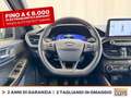Ford Kuga 1.5 ecoblue st-line 2wd 120cv Grijs - thumbnail 20