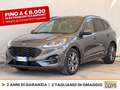 Ford Kuga 1.5 ecoblue st-line 2wd 120cv Grijs - thumbnail 1