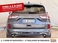 Ford Kuga 1.5 ecoblue st-line 2wd 120cv Grijs - thumbnail 5