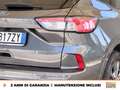 Ford Kuga 1.5 ecoblue st-line 2wd 120cv Grigio - thumbnail 18