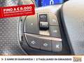 Ford Kuga 1.5 ecoblue st-line 2wd 120cv Grijs - thumbnail 23