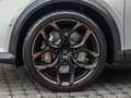 CUPRA Formentor VZ5 Edition Taiga Grey 2.0 TSI 4Drive Grau - thumbnail 9