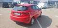 Ford Fiesta 5p 1.1 Plus 70cv my19 Rosso - thumbnail 7