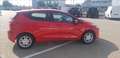 Ford Fiesta 5p 1.1 Plus 70cv my19 Rosso - thumbnail 3