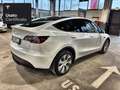 Tesla Model Y Long Range AWD Bianco - thumbnail 7