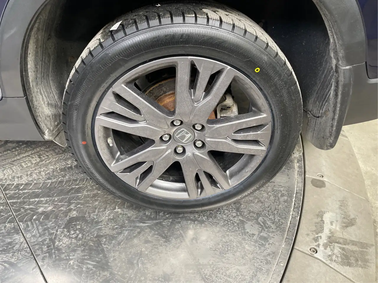 Honda Passport снимка Honda Passport