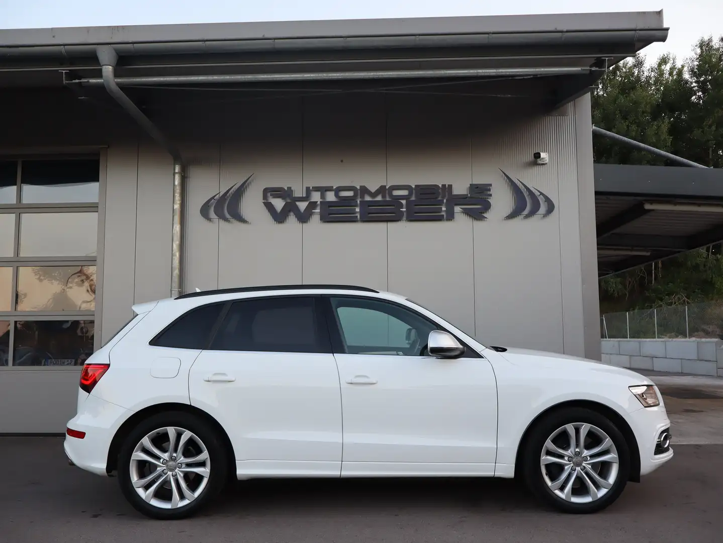 Audi SQ5 3.0 TDI quattro tiptronic *LEDER*NAVI*AHK*20"ALU* Weiß - 2