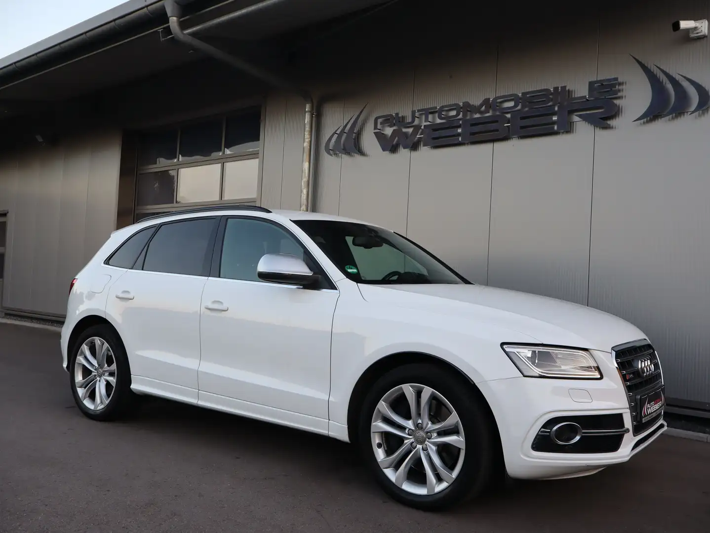 Audi SQ5 3.0 TDI quattro tiptronic *LEDER*NAVI*AHK*20"ALU* Weiß - 1