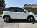 Fiat Panda 1.0 firefly hybrid Sport s&s 70cv - thumbnail 4